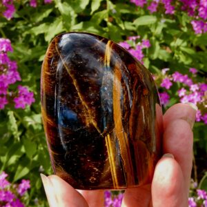 Tiger Eye Standing Free Form