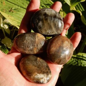 Black Moonstone Palm Stones Group