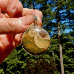 Rainforest Jasper Round Pendant