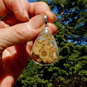 Rainforest Jasper Tear Shaped Pendant