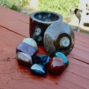 Ammonite Fossil Box4