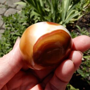 Polychrome Jasper Palm Stone