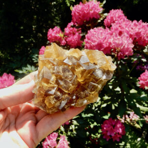 Fluorite Golden