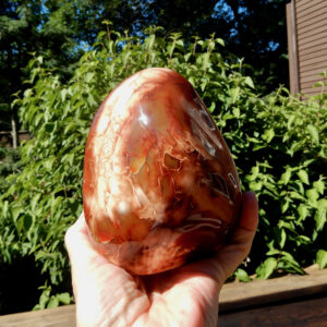 Carnelian Free Form