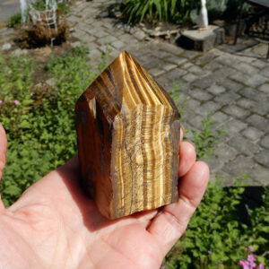 Tiger Eye HP Point4