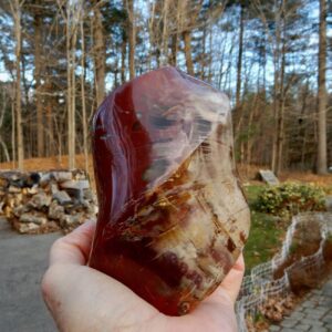 Petrified Wood Flame2