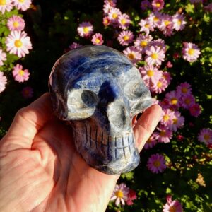 Sodalite Lg Skull