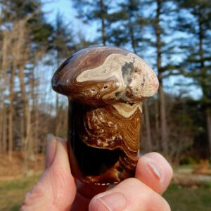 Choc Calcite Mushroom3