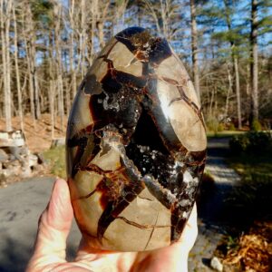 Septarian FF Cutout2