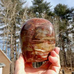 Petrified Wood Large Free Form2