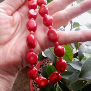 Red Coral Chunky Necklace1