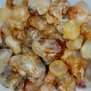 Golden Healer Tumbles