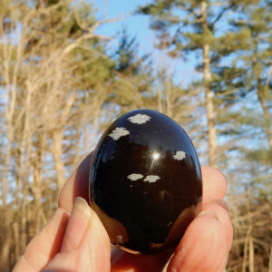 Black Obsidian Egg
