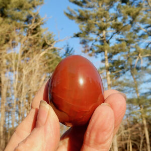 Carnelian Egg