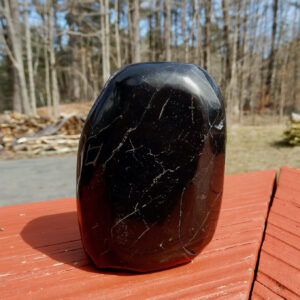Shungite Gallet