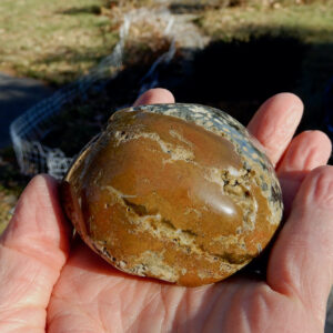Ocean Jasper Brown Palm Stone