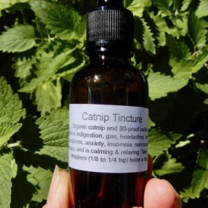 Catnip Tincture