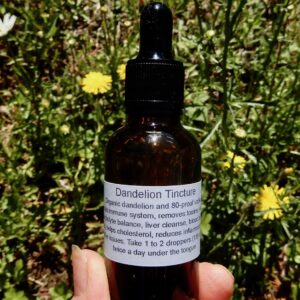 Dandelion Tincture
