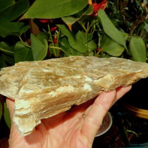 Pineapple Mica1