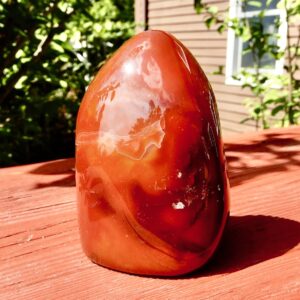 Carnelian Freeform1