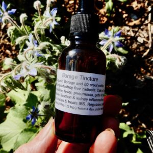 Borage Tincture