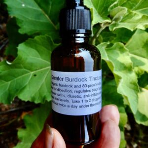 Burdock Tincture