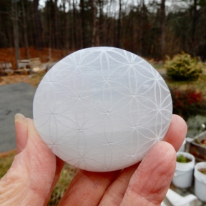 Selenite Flower Palm Stone