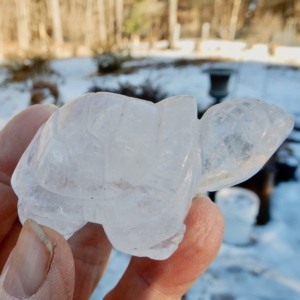 Clear Quartz Turtle1