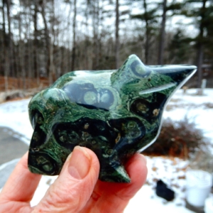 Kambaba Lg Frog5