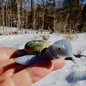 Sea Turtle Angelite + Serp2