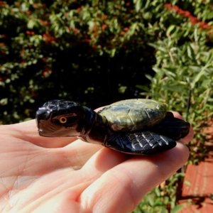 Black Onyx and Serpentine Turtle2
