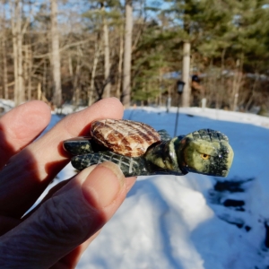 Serpentine Sea Turtle