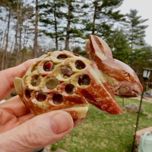 Soapstone Bunny5