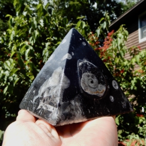 Orthoceras Pyramid 1
